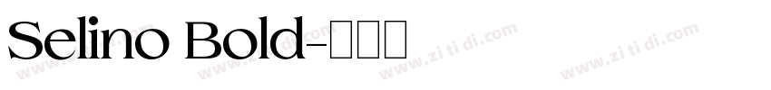 Selino Bold字体转换